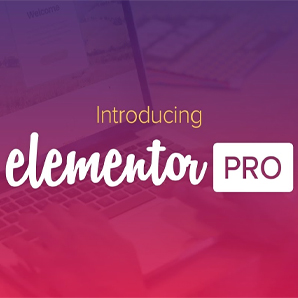 Licence annuelle Elementor Pro