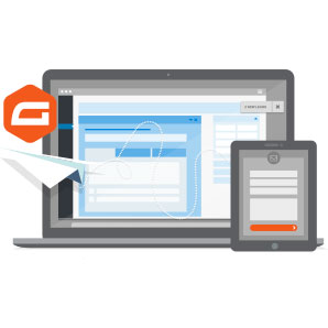 Licence annuelle Gravity Forms