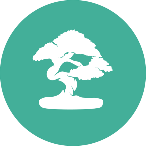 Licence annuelle Sensei Learners Exporter & Importer